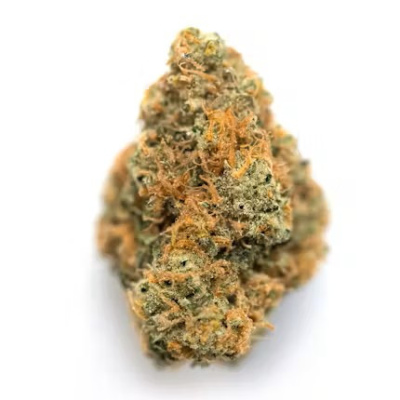 Night Nurse